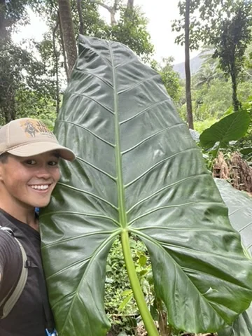 Bobo smiling beside a giant tropical leaf bigger than his torso.
