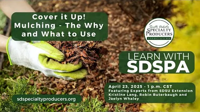 Video title card: Cover it Up! Mulching, the Why and What to Use, with a gloved hand holding mulch.